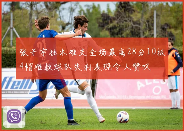 张子宇独木难支全场最高28分10板4帽难救球队失利表现令人赞叹