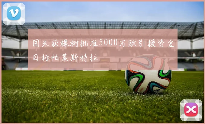 国米获橡树批准5000万欧引援资金目标帕莱斯特拉