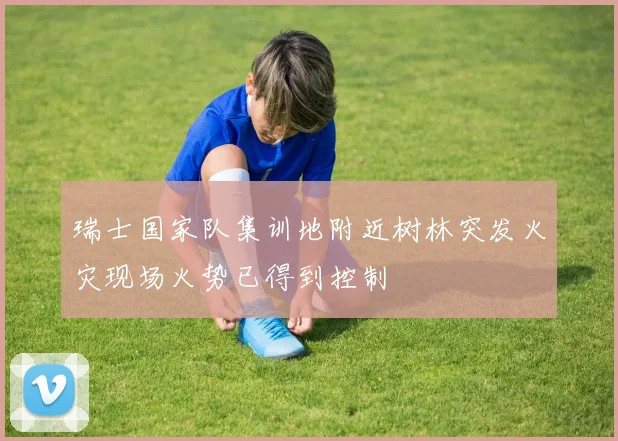 瑞士国家队集训地附近树林突发火灾现场火势已得到控制