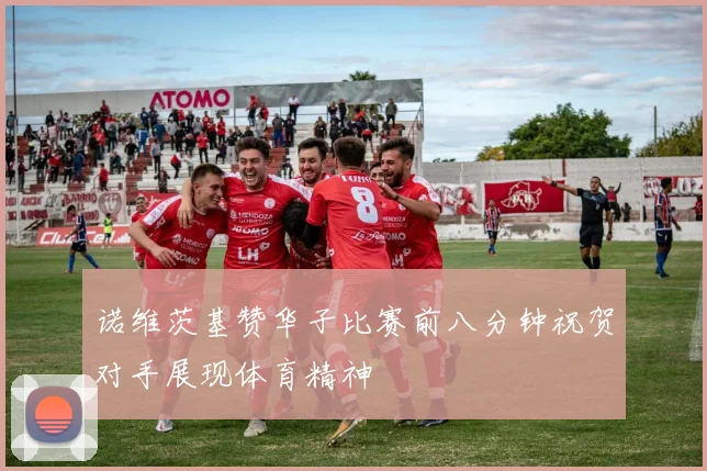 诺维茨基赞华子比赛前八分钟祝贺对手展现体育精神