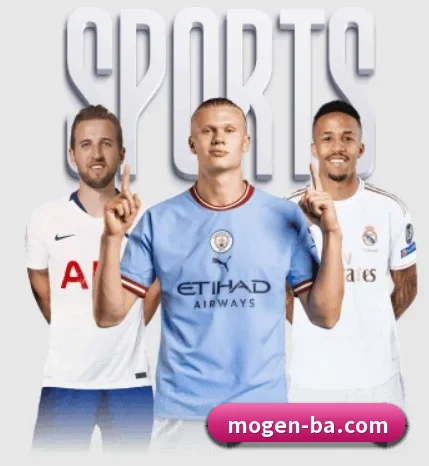 五大服务分区,信息按项目分类 - MorganSport